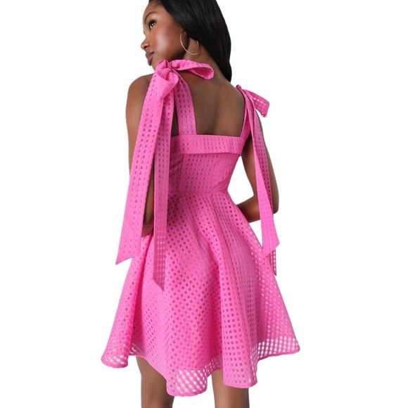 Lulus Forever Darling Magenta Gingham Burnout Tie-Strap Mini Dress Size Small - Picture 3 of 14